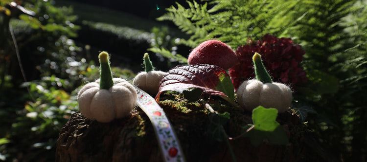 Herbst - 8-Natur