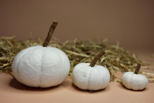Besonders Großer Herbstzauber - Entdecke unsere handgefilzten XXL-Kürbisse! - 8-Natur