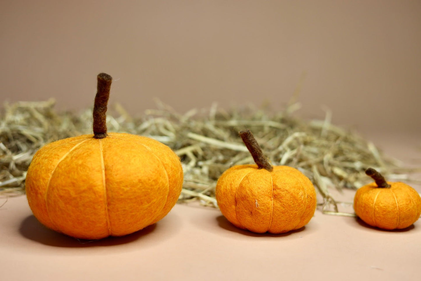 Besonders Großer Herbstzauber - Entdecke unsere handgefilzten XXL-Kürbisse! - 8-Natur