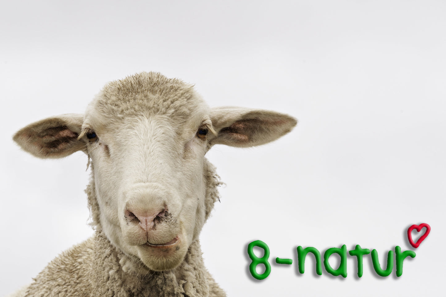 Mix Ferien 50 Stck - 8-Natur