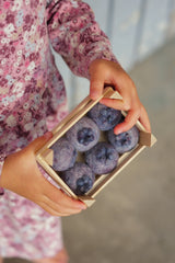 6 große Blaubeeren im unbehandelten holzkörbchen ￼