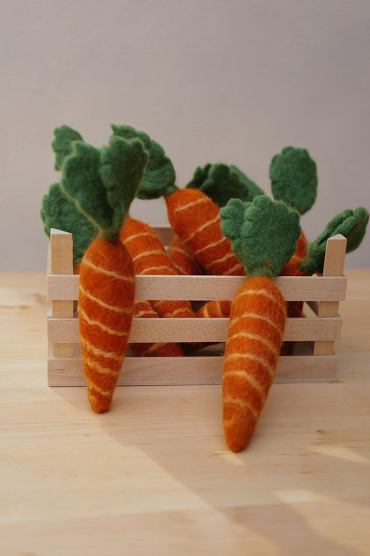 2 Karotten Aus der Erde gezogen