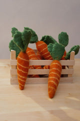 2 Karotten Aus der Erde gezogen