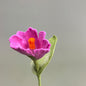 Filzblume – Symbol des Neubeginns (8 Farben)