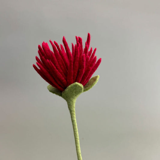 Filzblume – Symbol für Reinheit & Licht