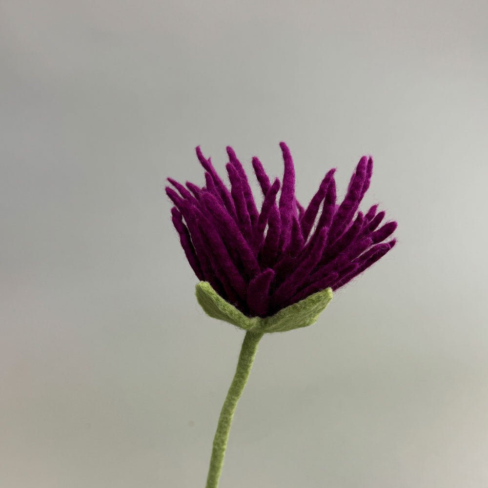 Filzblume – Symbol für Reinheit & Licht