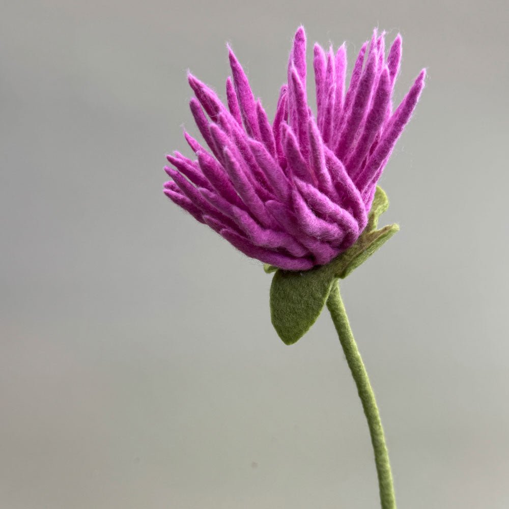 Filzblume – Symbol für Reinheit & Licht