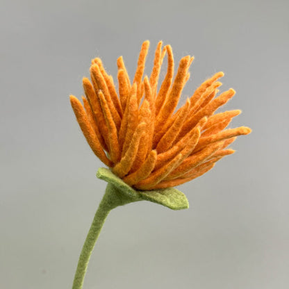 Filzblume – Symbol für Reinheit & Licht