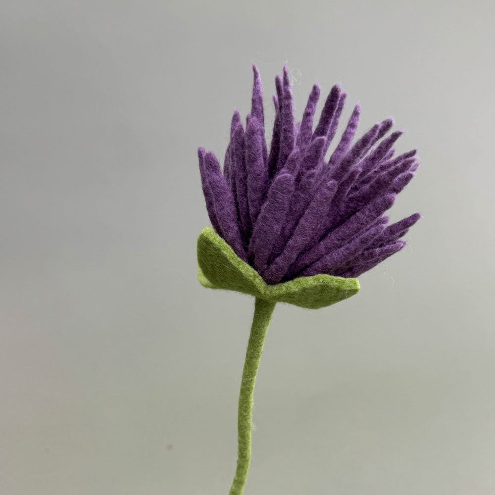 Filzblume – Symbol für Reinheit & Licht