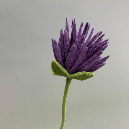 Filzblume – Symbol für Reinheit & Licht