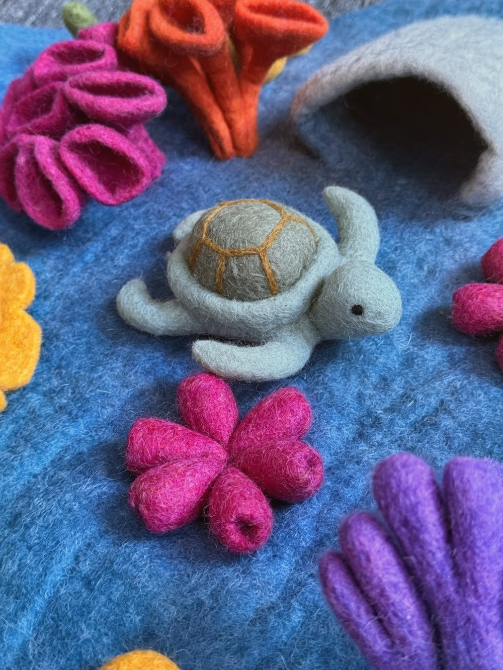 Schildkröte