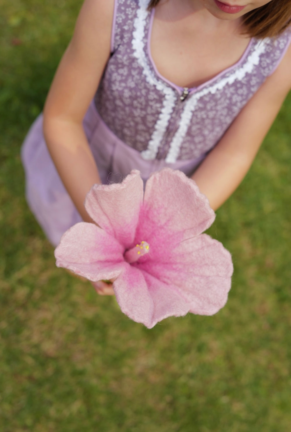 Hibiskussi