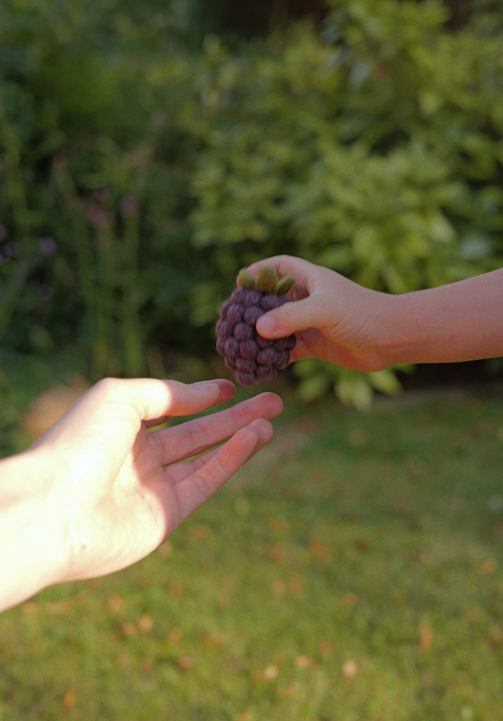 Brombeere