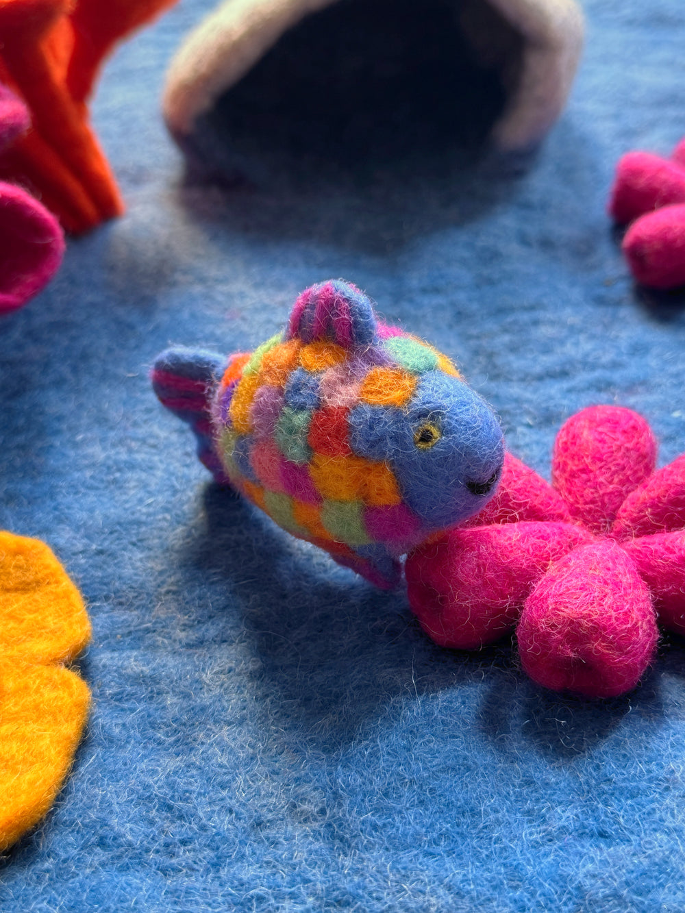 Regenbogenfisch