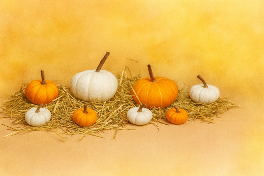 Besonders Großer Herbstzauber - Entdecke unsere handgefilzten XXL-Kürbisse!