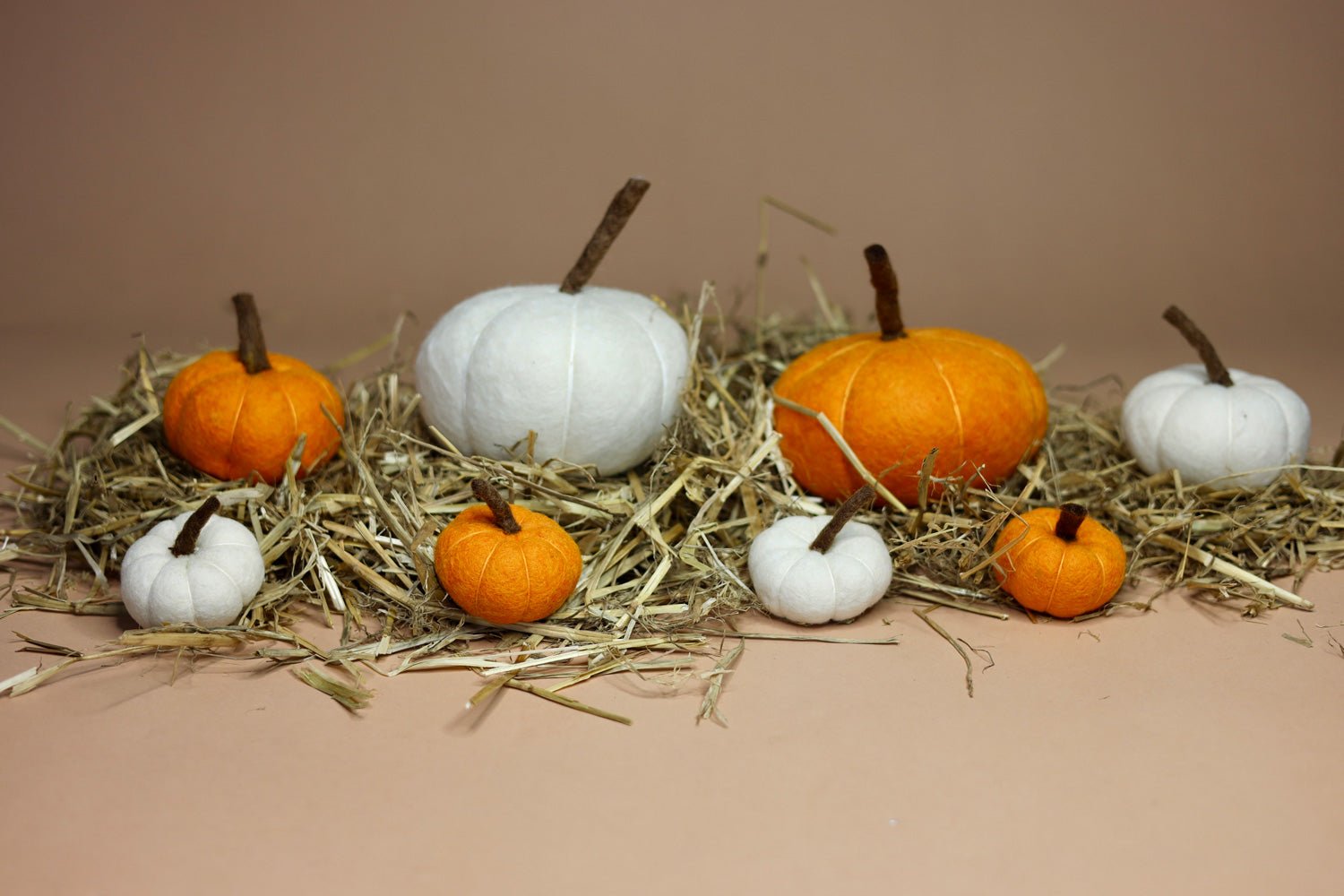 Besonders Großer Herbstzauber - Entdecke unsere handgefilzten XXL-Kürbisse! - 8-Natur