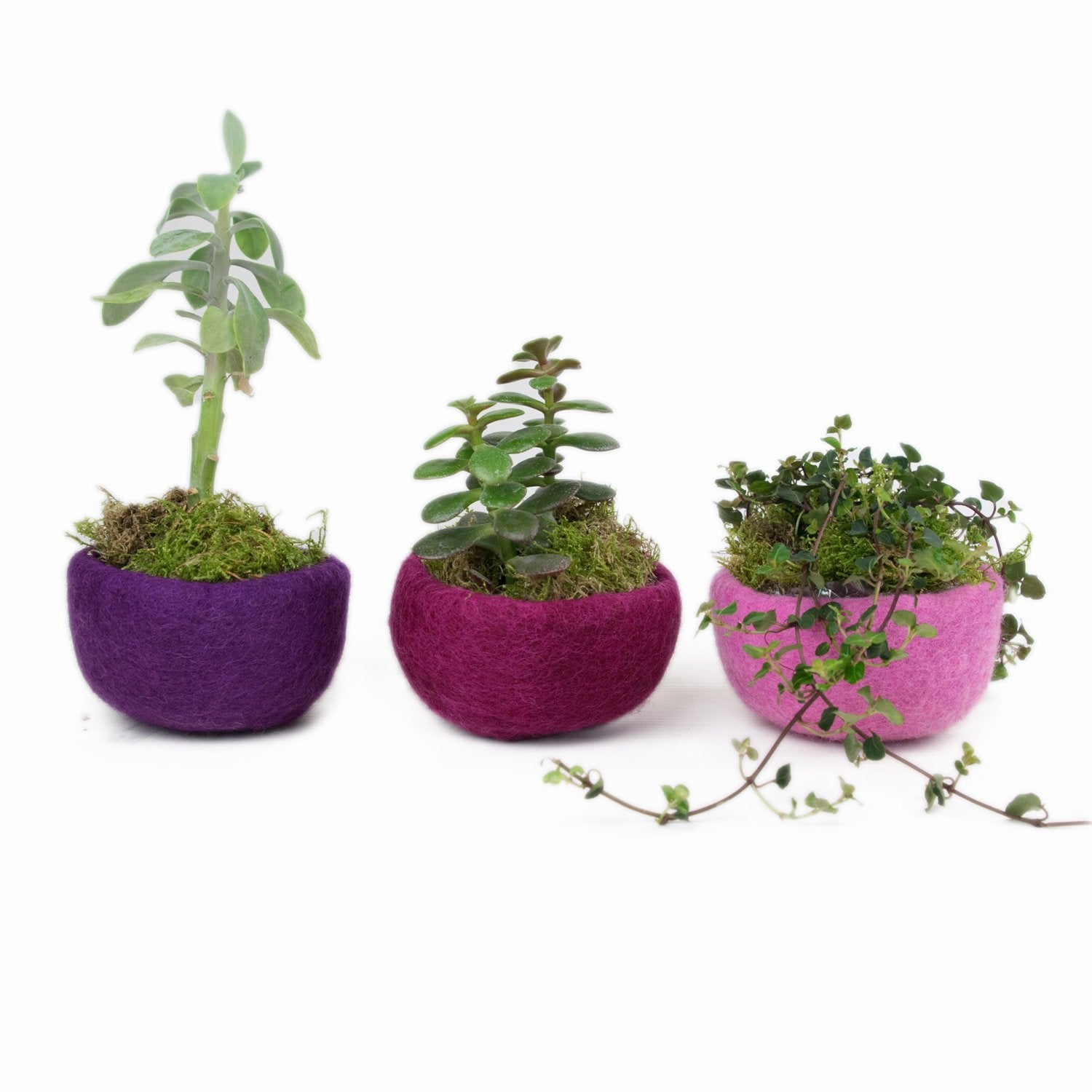 3 Filzschalen 10cm lila Flieder rosa - 8-Natur