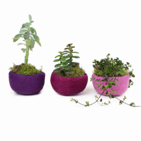 3 Filzschalen 10cm lila Flieder rosa