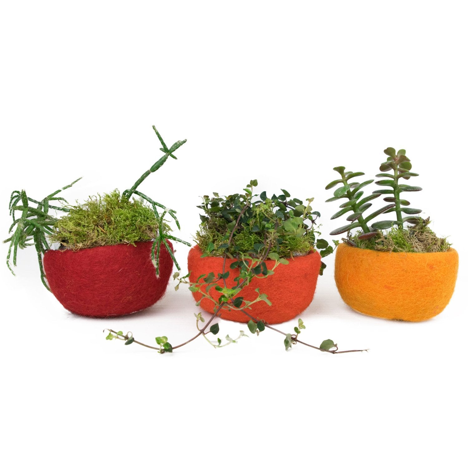3 Filzschalen 10cm rot orange gelb - 8-Natur