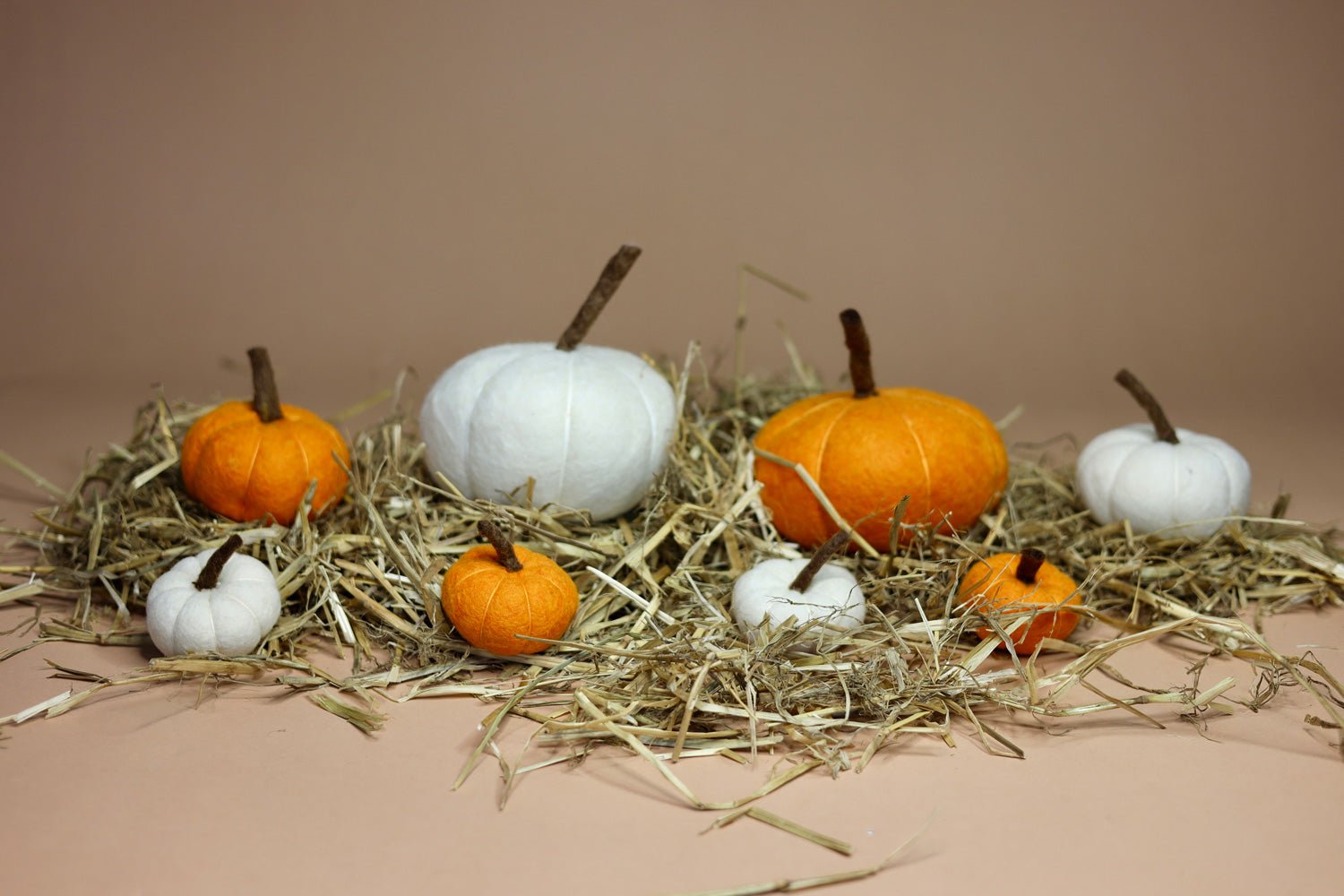 Besonders Großer Herbstzauber - Entdecke unsere handgefilzten XXL-Kürbisse! - 8-Natur