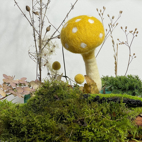 Riesen Fliegenpilze gepunktet groß