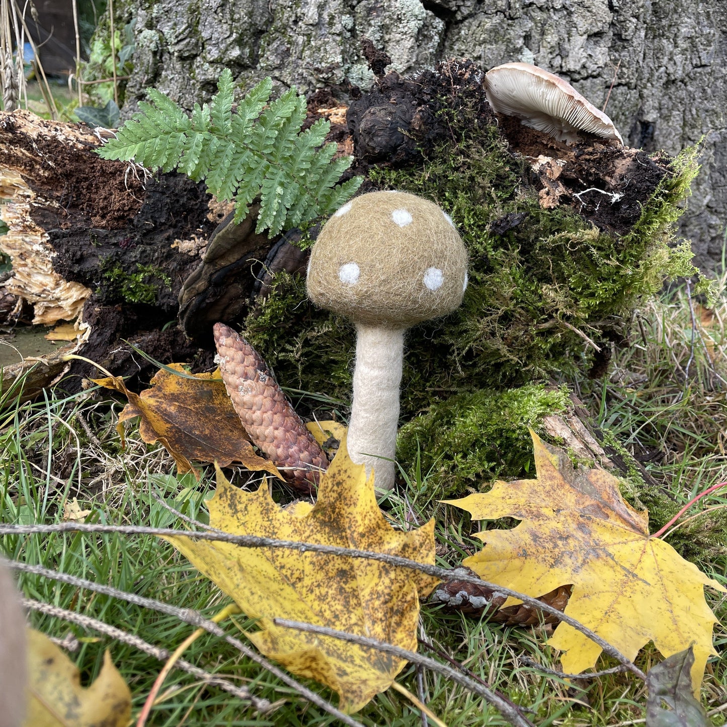 kaufladen zubehör holz
Filz lebensmittel
zubehör spielküche holz
kinderküche zubehör
kaufladen kinder
Pilz gepunktet