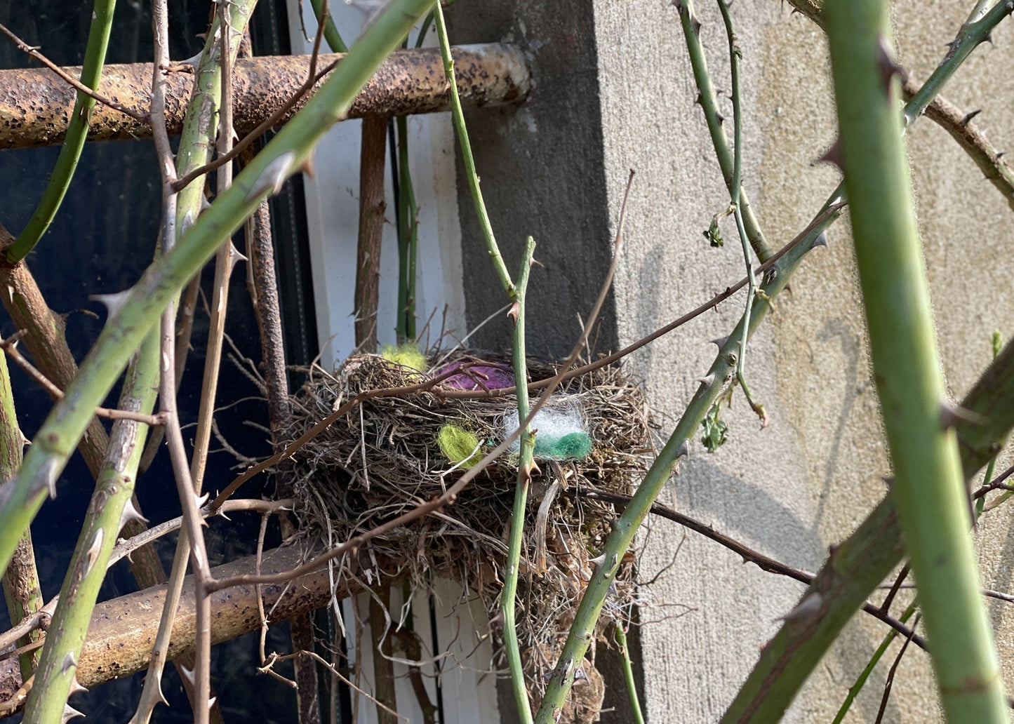3x Vogelnestkugeln blau,gelb,rot - 8-Natur