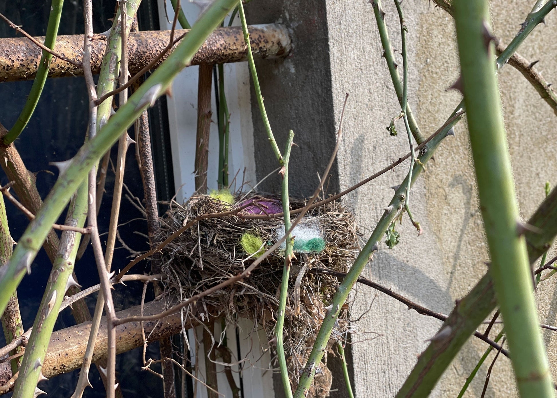 Vogelnestkugel aus Filz in blau - 8-Natur