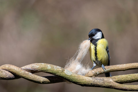 Vogelnestkugel aus Filz in blau
