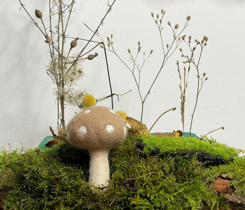 Riesen Fliegenpilze gepunktet klein